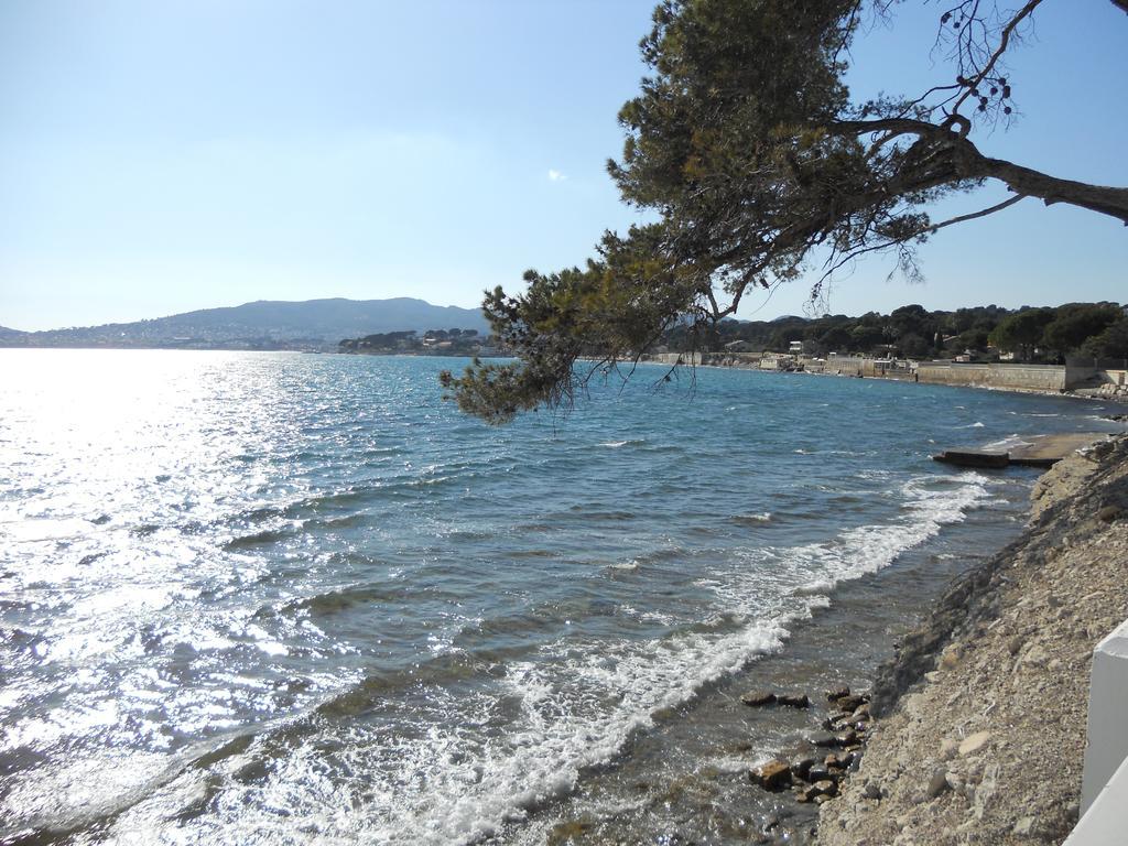 Studio Le Peneque Des Anges La Ciotat Kamer foto