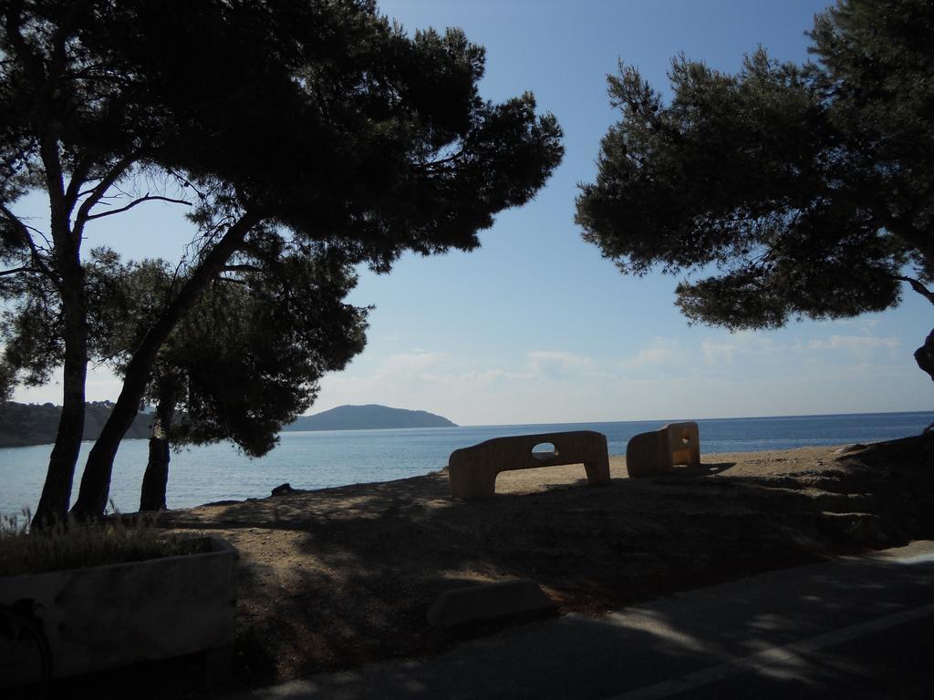 Studio Le Peneque Des Anges La Ciotat Kamer foto