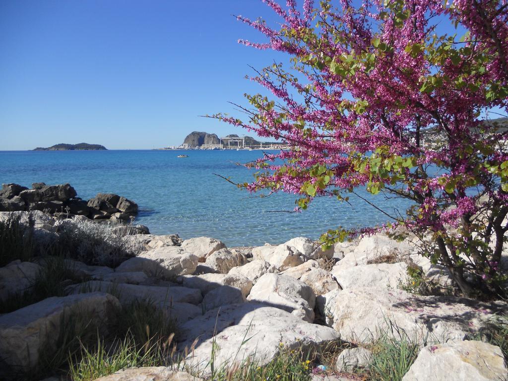 Studio Le Peneque Des Anges La Ciotat Buitenkant foto