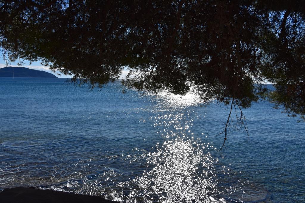 Studio Le Peneque Des Anges La Ciotat Buitenkant foto